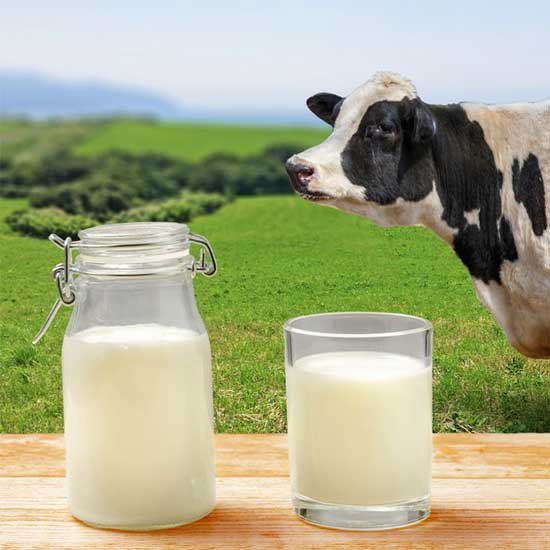 Pure Sahiwal Cow Milk 100% Original